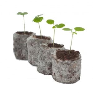 Таблетки и пробки Jiffy-7